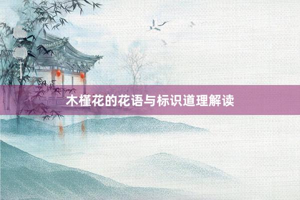 木槿花的花语与标识道理解读