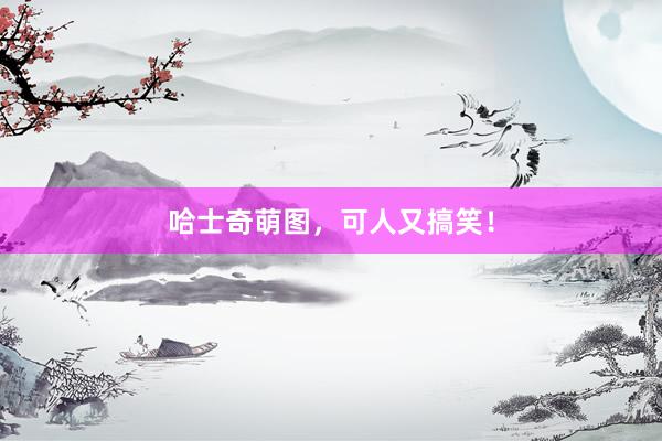 哈士奇萌图，可人又搞笑！