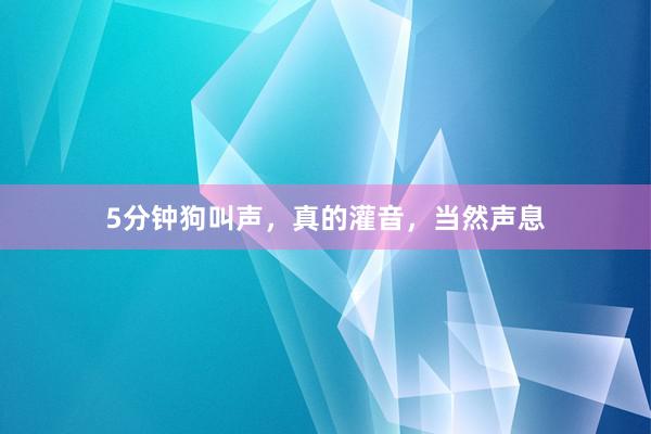 5分钟狗叫声，真的灌音，当然声息
