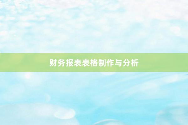 财务报表表格制作与分析
