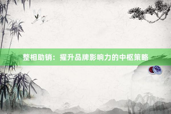 整相助销：擢升品牌影响力的中枢策略